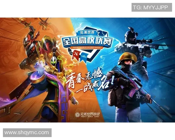 赵敏在CSGO世界中的成长与挑战之路深度探讨