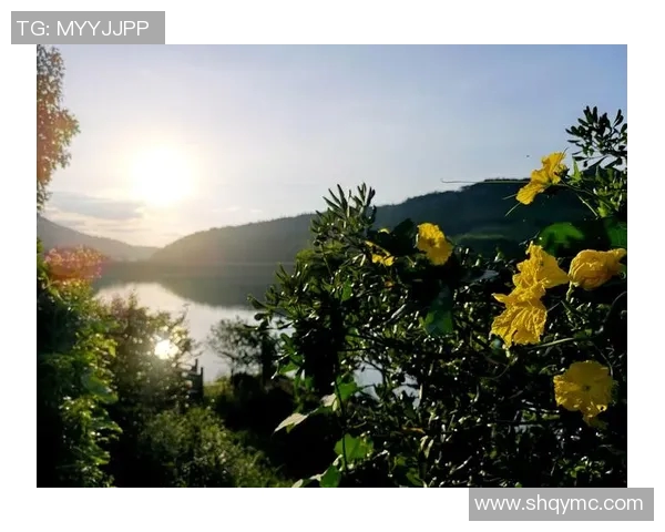 《深入对话：探索当代青年在职场与生活中的挑战与机遇》